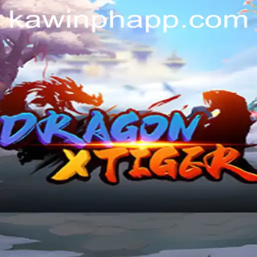 Discovering the World of DragonXTiger: An In-Depth Look